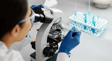 Toref-Standards-About-Us-Services-Custom-Synthesis-of-Impurities
