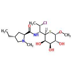 Clindamycin B