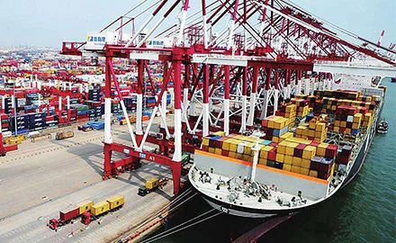 China API Exports